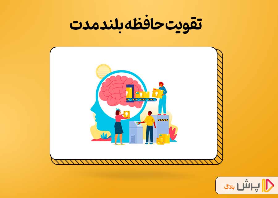 تقویت حافظه بلند مدت