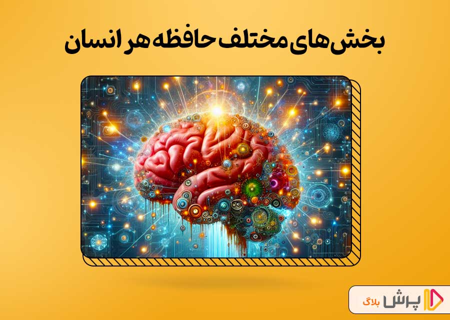 بخشهای مختلف حافظه هر انسان